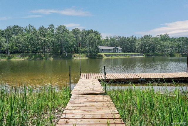 9683 Shore Dr, Pigeon, MI 48755 - photo 25