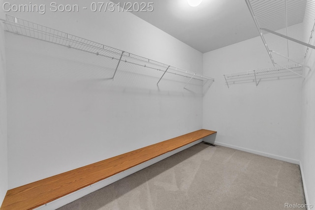 8271 S Warwick Ct, Ypsilanti, MI 48198 - photo 28
