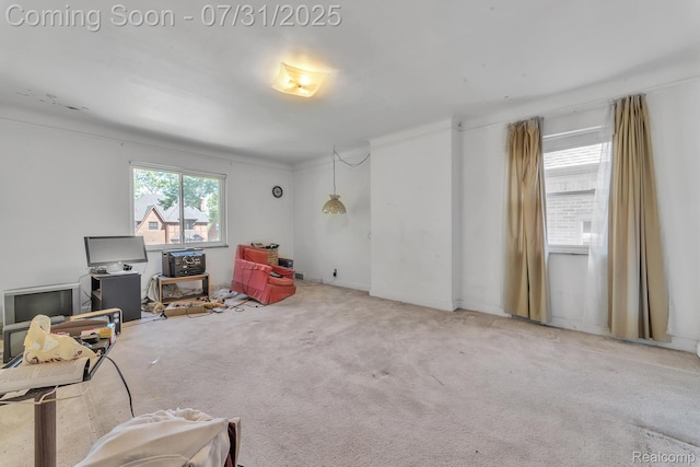17371 Greenlawn St, Detroit, MI 48221 - photo 27