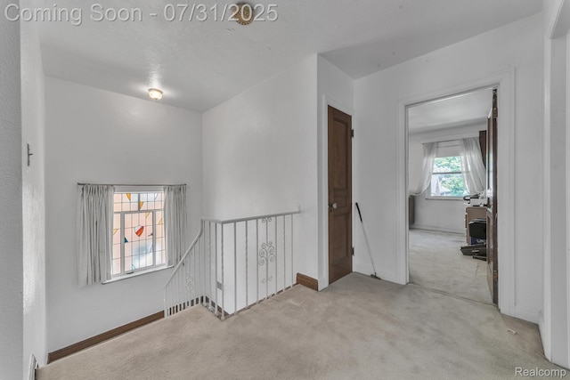 17371 Greenlawn St, Detroit, MI 48221 - photo 31
