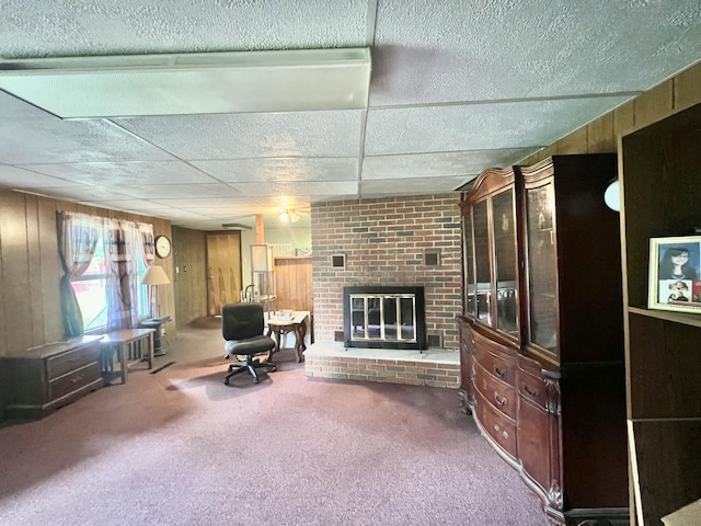 1806 Barr St, Hillsdale, MI 49242 - photo 51