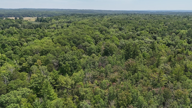12504 N N Pine Ave, Paris, MI 49338 - photo 6
