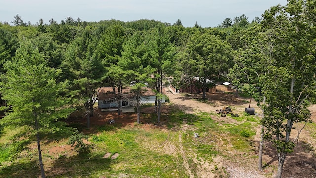12504 N N Pine Ave, Paris, MI 49338 - photo 7