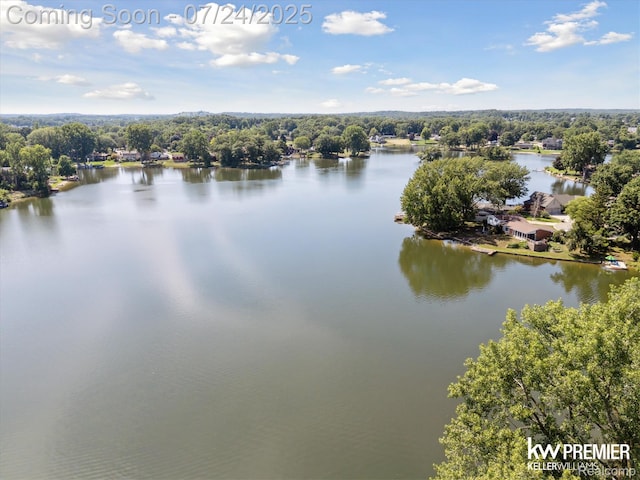 475 Berry Patch Ln, White Lake, MI 48386 - photo 43