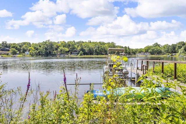 236 Kilkenny Dr, Onsted, MI 49265 - photo 60