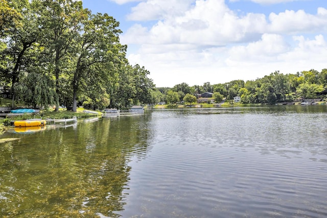 236 Kilkenny Dr, Onsted, MI 49265 - photo 4