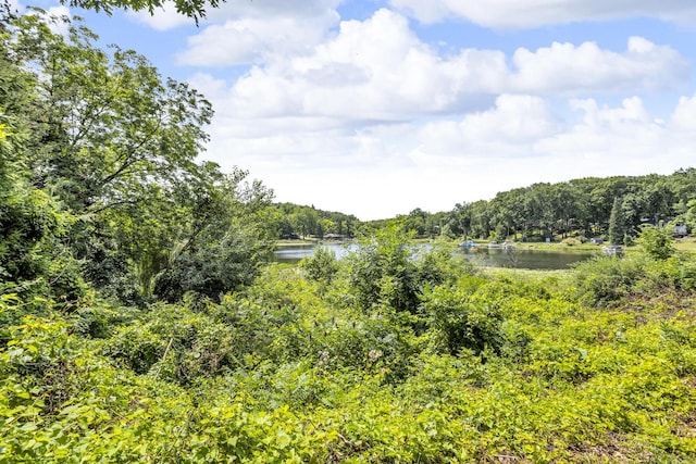 236 Kilkenny Dr, Onsted, MI 49265 - photo 62