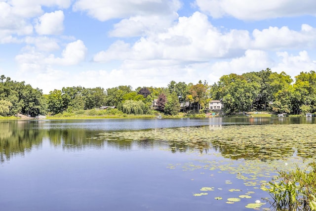 236 Kilkenny Dr, Onsted, MI 49265 - photo 37