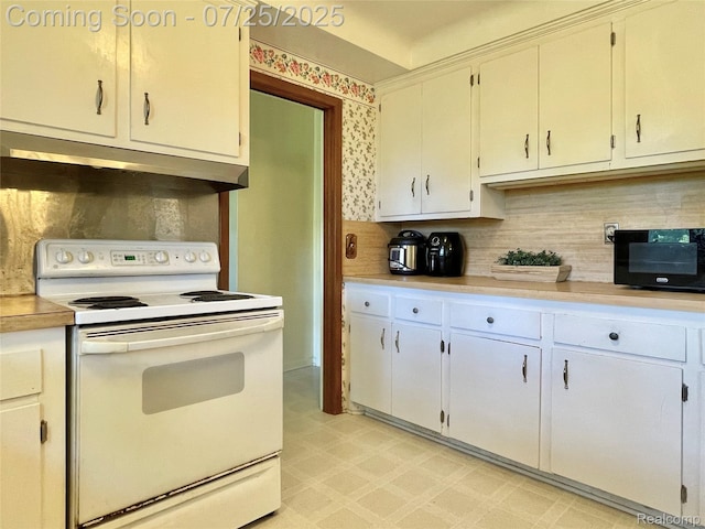 38159 S Julian St, Clinton Township, MI 48036 - photo 11