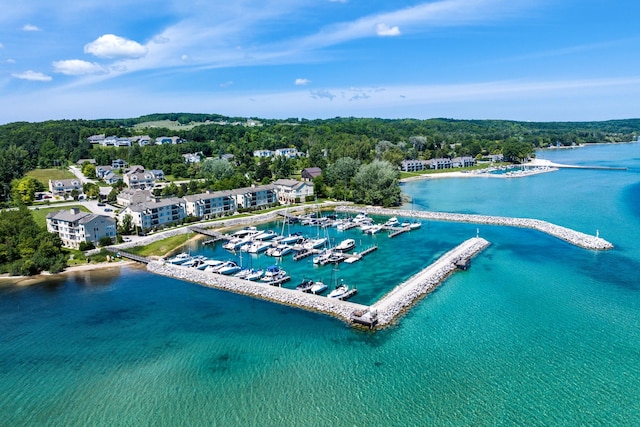 712 Dockside Cir, Suttons Bay, MI 49682 - photo 55