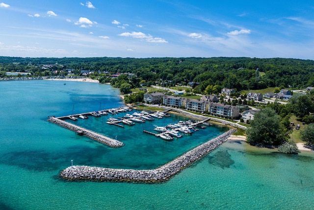 712 Dockside Cir, Suttons Bay, MI 49682 - photo 62