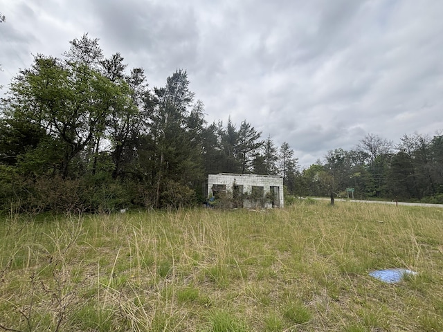 14269 N Woodbridge Ave, Bitely, MI 49309 - photo 10
