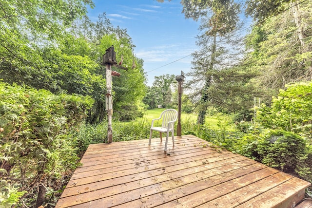 114 E Henry St, Saline, MI 48176 - photo 4