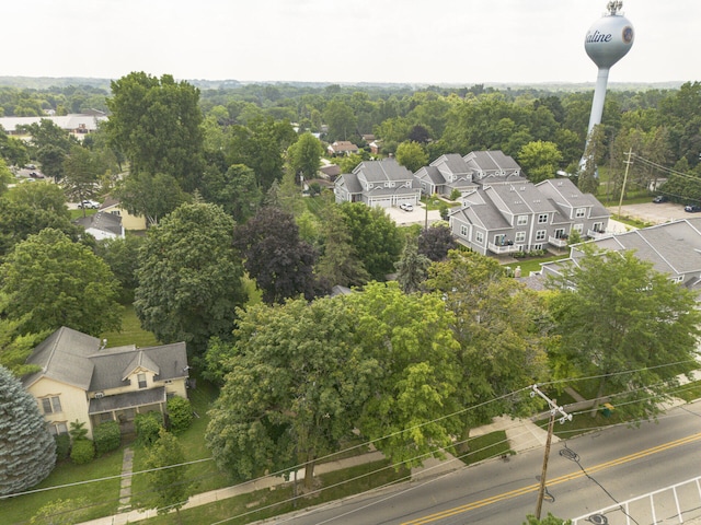 114 E Henry St, Saline, MI 48176 - photo 51