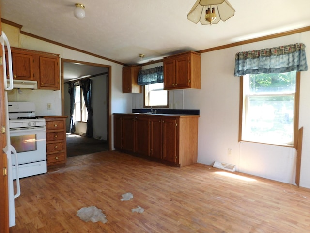 921 Hall St, Albion, MI 49224 - photo 4
