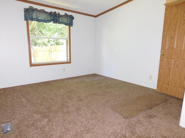 921 Hall St, Albion, MI 49224 - photo 15