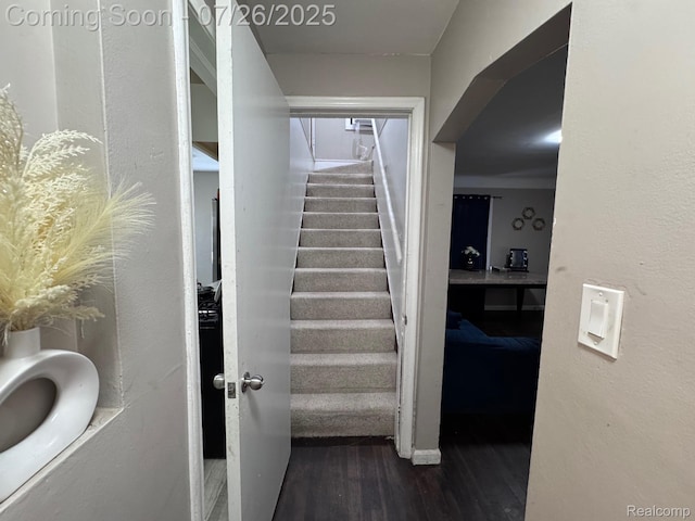 18997 Westbrook St, Detroit, MI 48219 - photo 9