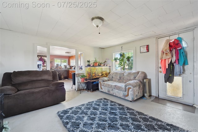 3541 Miller Rd, Bancroft, MI 48414 - photo 6