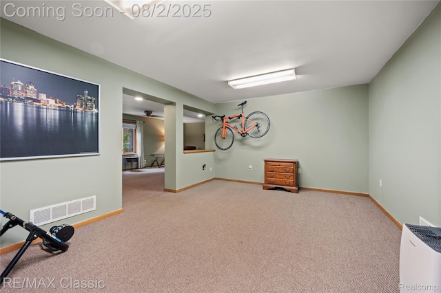 1249 Jefferson Rd, Clarklake, MI 49234 - photo 23