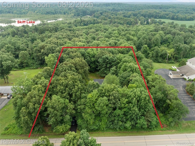 1249 Jefferson Rd, Clarklake, MI 49234 - photo 30