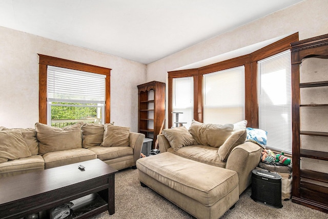 606 N Park St NE, Grand Rapids, MI 49525 - photo 9