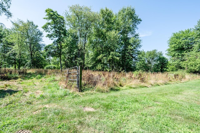 53075 M-51 N, Dowagiac, MI 49047 - photo 44