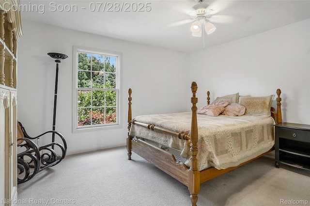 9058 Ridgefield Dr, Brighton, MI 48114 - photo 18