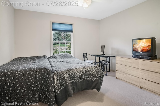 9058 Ridgefield Dr, Brighton, MI 48114 - photo 17