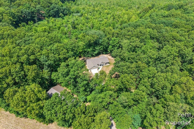 2577 Chapel Ct, Dorr, MI 49323 - photo 45