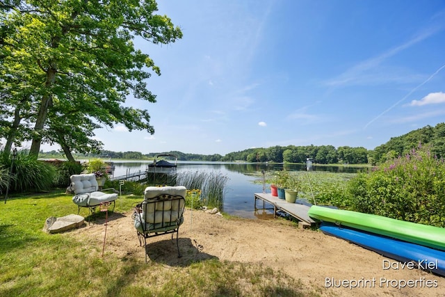 6840 Flower Dr, Delton, MI 49046 - photo 37