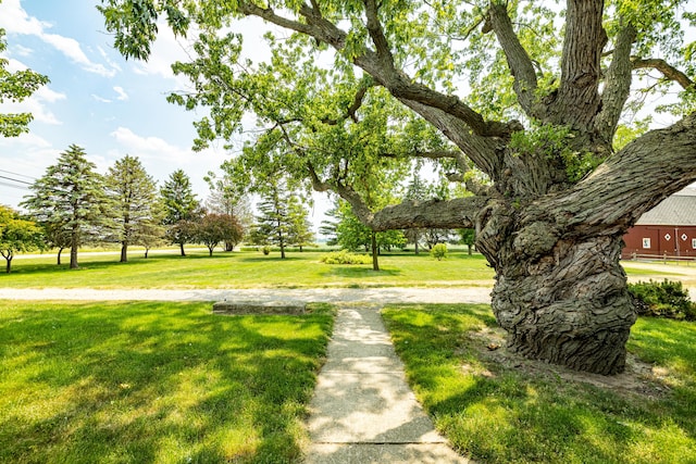 1090 Lewis Ave, Ida, MI 48140 - photo 48