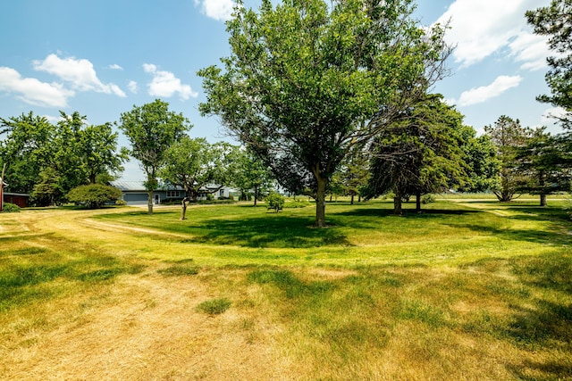 1090 Lewis Ave, Ida, MI 48140 - photo 47