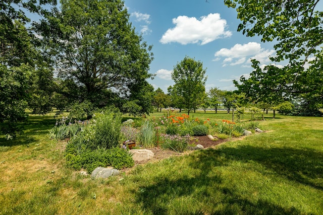 1090 Lewis Ave, Ida, MI 48140 - photo 45