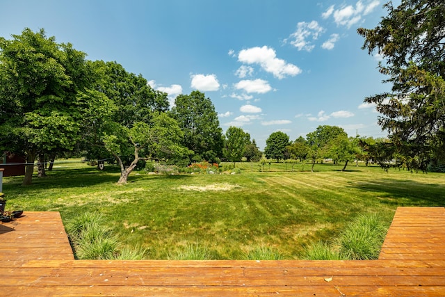 1090 Lewis Ave, Ida, MI 48140 - photo 41