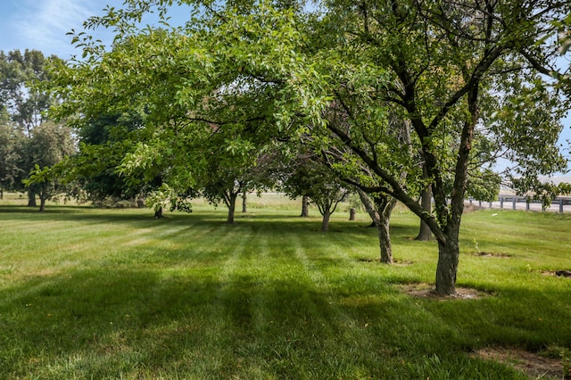 1090 Lewis Ave, Ida, MI 48140 - photo 46