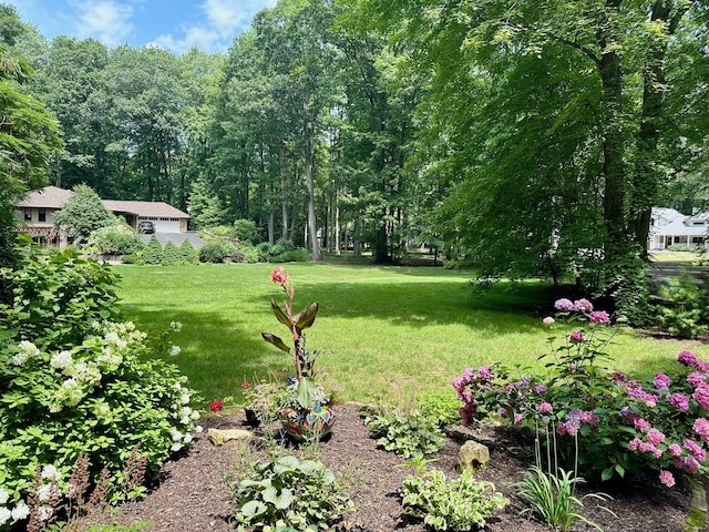 3330 Clearview Ln, Saugatuck, MI 49453 - photo 32