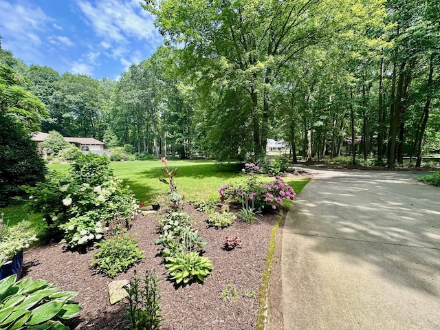 3330 Clearview Ln, Saugatuck, MI 49453 - photo 33