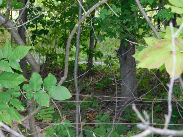 4622 W Buchanan Rd, Shelby, MI 49455 - photo 38