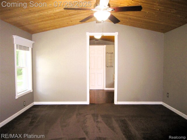 5673 Chippewa Dr, Howell, MI 48843 - photo 25