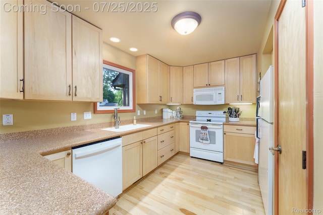 9516 Placid Way, Howell, MI 48843 - photo 17