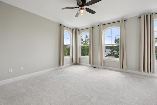 1713 Town Commons Dr, Howell, MI 48855 - photo 24