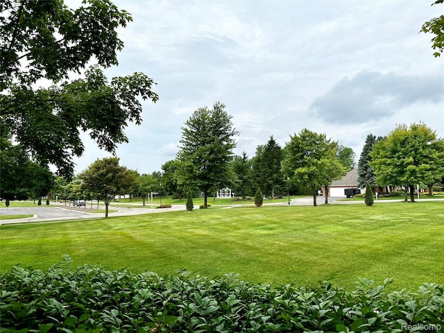 6536 Shetland Ct, Shelby Twp, MI 48316 - photo 11