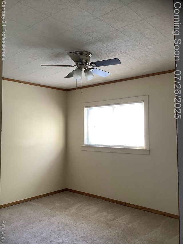 33940 Hiveley St, Westland, MI 48186 - photo 19