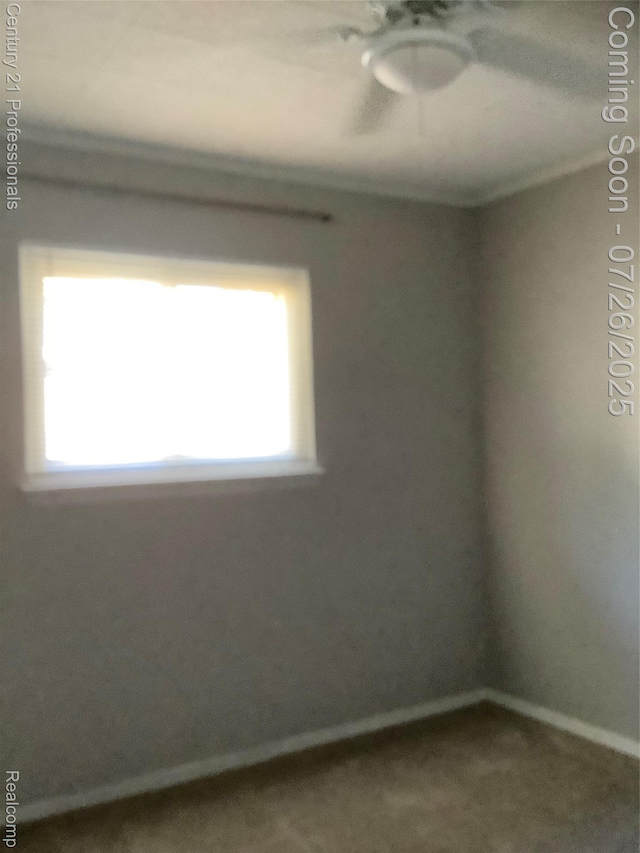 33940 Hiveley St, Westland, MI 48186 - photo 23