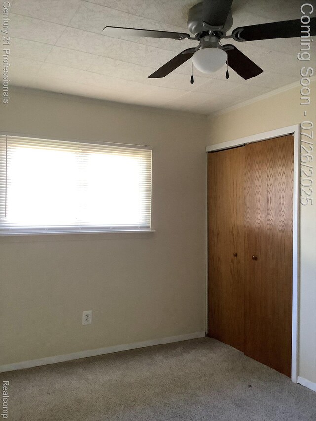 33940 Hiveley St, Westland, MI 48186 - photo 24