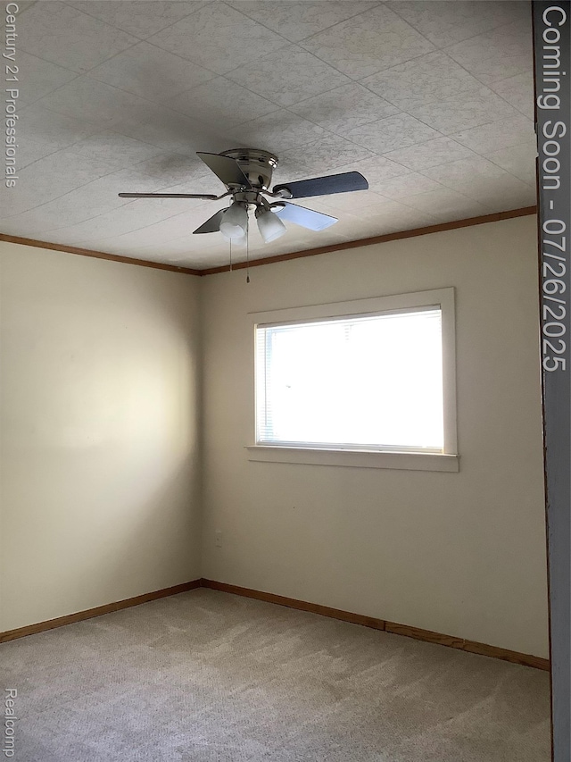 33940 Hiveley St, Westland, MI 48186 - photo 25