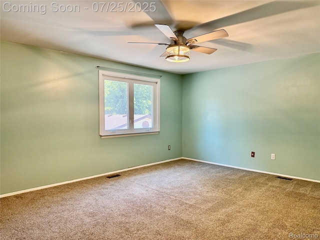 21355 E Chipmunk Trl, Woodhaven, MI 48183 - photo 25