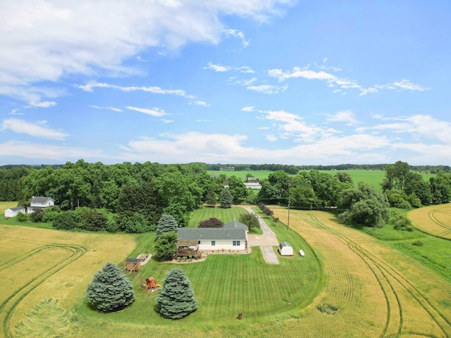 4108 Prospect Hill Rd, Grass Lake, MI 49240 - photo 45