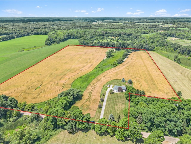 4108 Prospect Hill Rd, Grass Lake, MI 49240 - photo 1