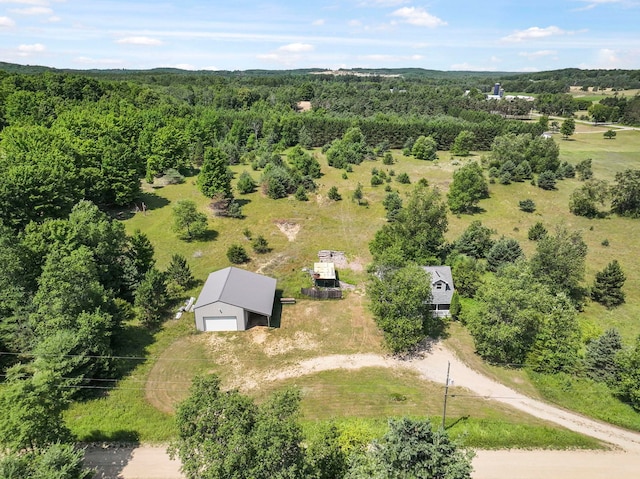 10635 W Rhoby Rd, Manton, MI 49663 - photo 5